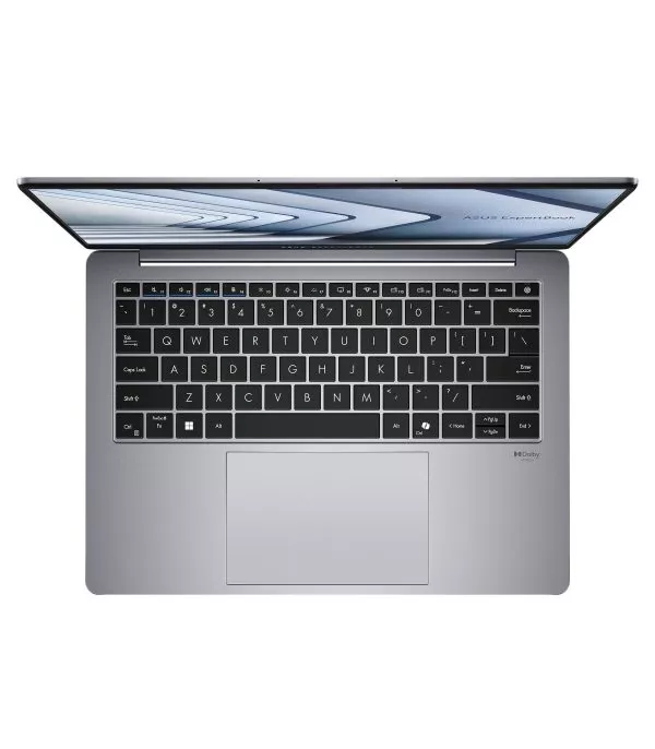 ASUS ExpertBook P5405CSA-NZ0409X – Ultrabook 14" WQXGA, Intel Core Ultra 5-226V (90NX0861-M00HY0)