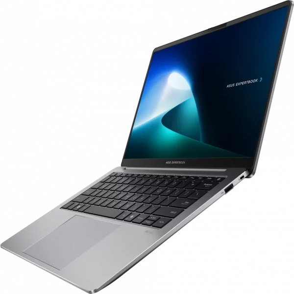 Ordinateur portable Asus ExpertBook P5 (P5405CSA-NZ0410)
