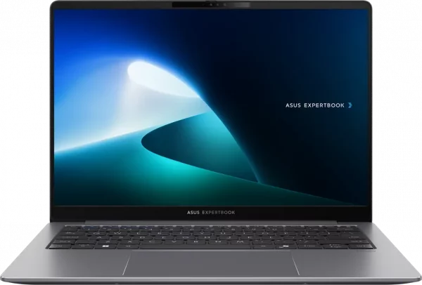 Ordinateur portable Asus ExpertBook P5 (P5405CSA-NZ0410)