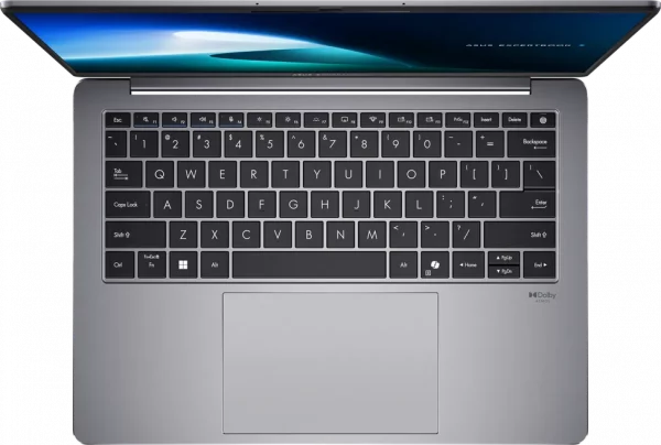 Ordinateur portable Asus ExpertBook P5 (P5405CSA-NZ0410)