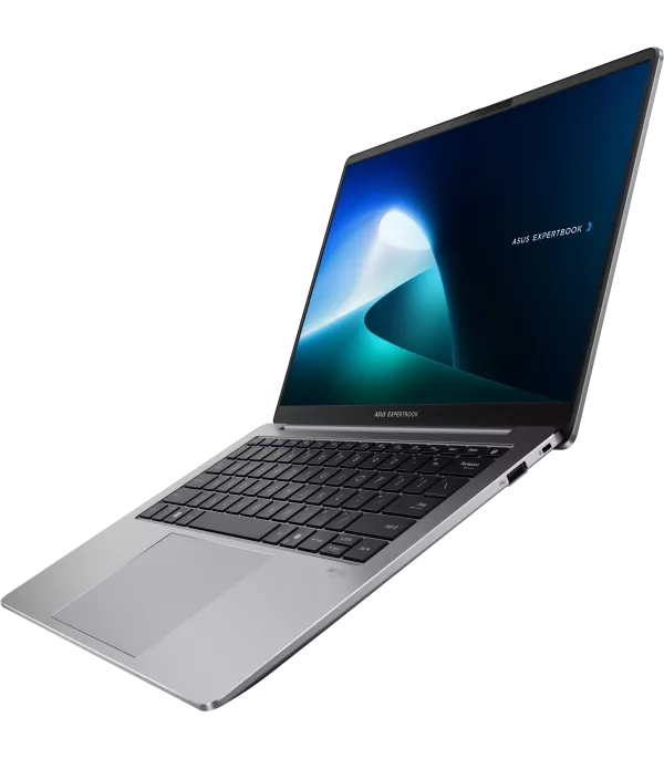 Ordinateur portable Asus ExpertBook P5 (P5405CSA-NZ0410) (90NX0861-M00KZ0)