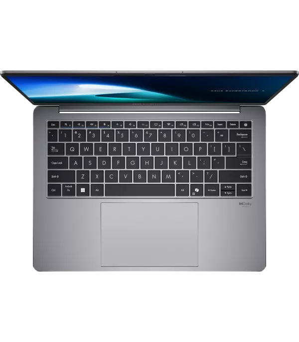 Ordinateur portable Asus ExpertBook P5 (P5405CSA-NZ0410) (90NX0861-M00KZ0)