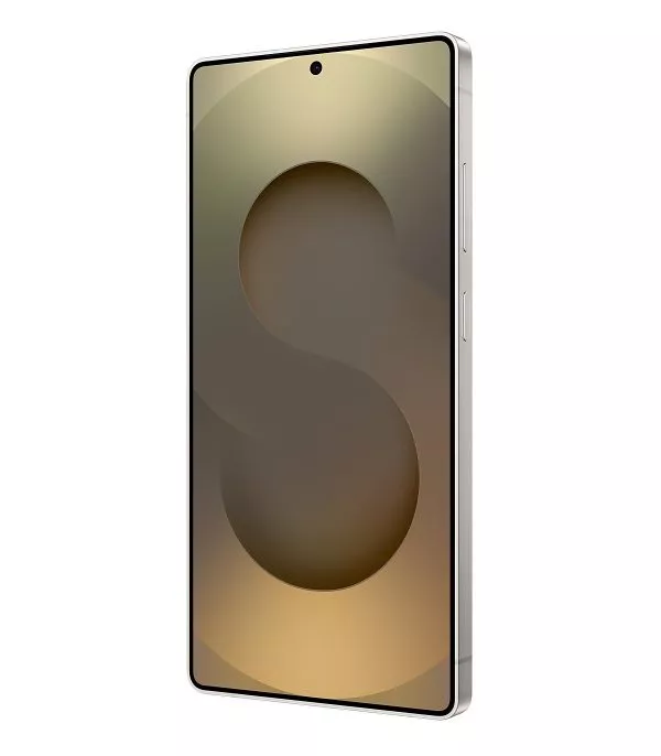 SAMSUNG Galaxy S25 Ultra 5G Dual Sim Titanium Gray (12GB 256GB) (SM-S938BZTIMWD)