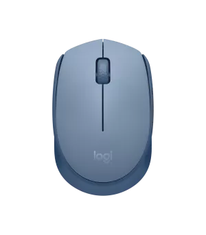 Souris sans fil Logitech M171 (910-006866)