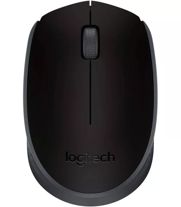 Logitech M171 Souris sans fil noire - 910-004424