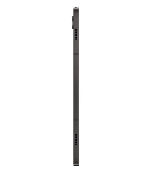 Tablette Samsung Galaxy Tab S9 5G (12GB / 256Go) (SM-X716BZAEMWD)