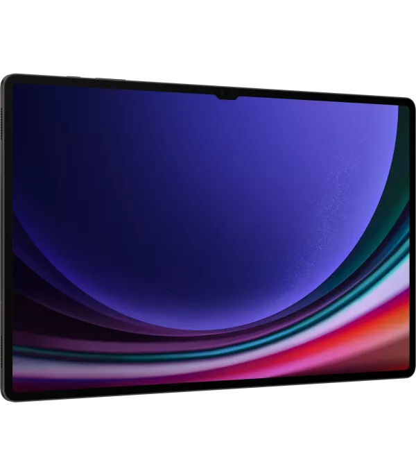 Tablette Samsung Galaxy Tab S9 Ultra 5G 512Go (SM-X916BZAEMWD)