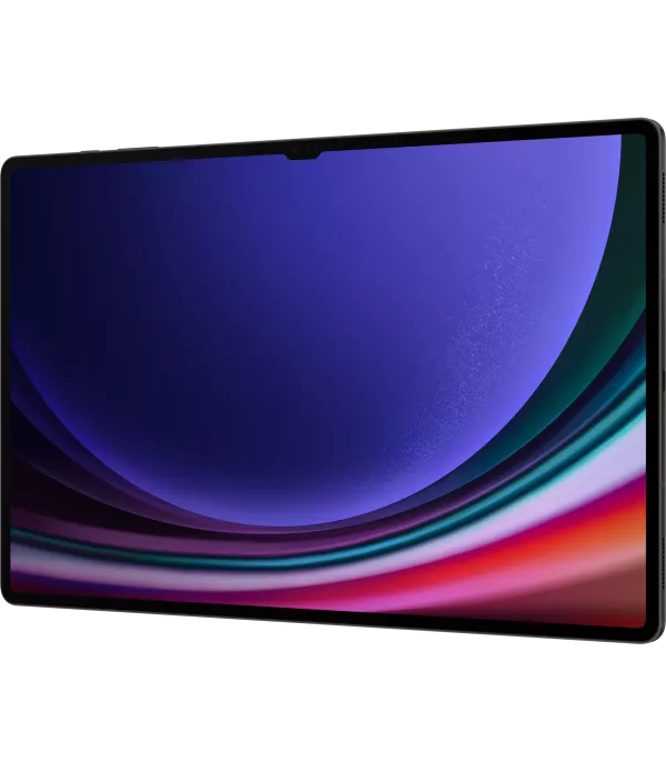 Tablette Samsung Galaxy Tab S9 Ultra 5G 512Go (SM-X916BZAEMWD)
