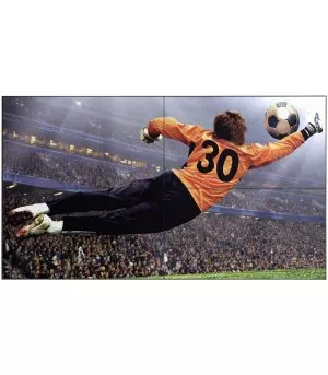 Écran mur d'images LG 49" FHD slim (49VL5G-M.AFPD)