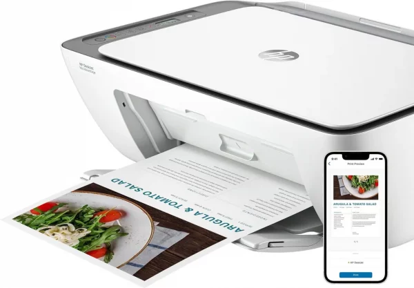 Imprimante multifonction HP DeskJet Ink Advantage 2876 (6W7E6C)