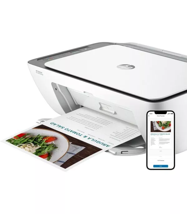 Imprimante Wi-Fi multifonction HP DeskJet Ink Advantage 2876 (6W7E6C)