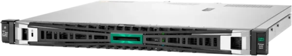 Serveur HPE ProLiant DL20 Gen11 (P65395-421)