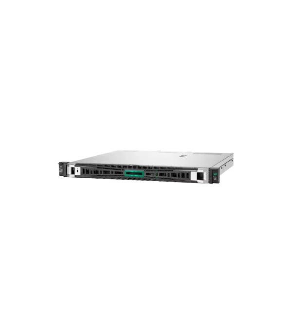 Serveur HPE ProLiant DL20 Gen11 (P65395-421)