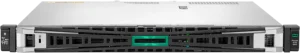 Serveur HPE ProLiant DL20 Gen11 (P65395-421)