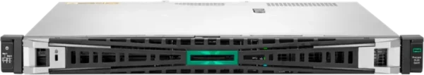 Serveur HPE ProLiant DL20 Gen11 (P65395-421)