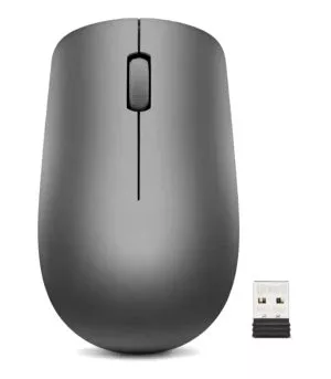 Souris sans fil Lenovo 530 – ambidextre 2.4 GHz, capteur 1200 DPI, graphite (GY50Z49089)
