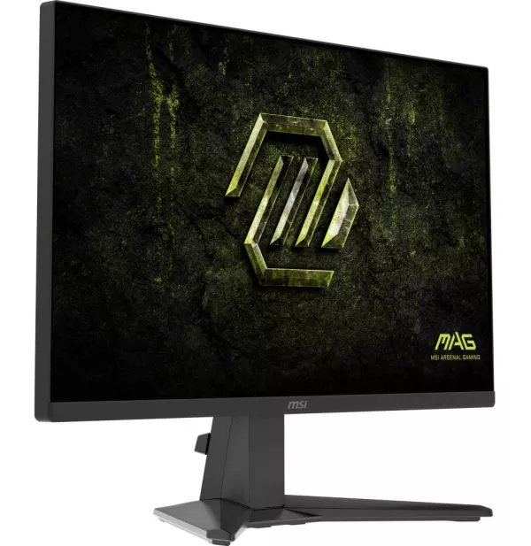 Écran 24" Full HD MSI MAG 245F X24 (9S6-3BC81M-001)