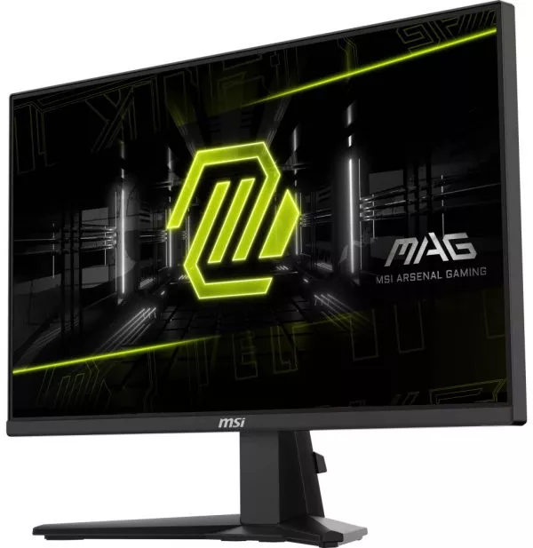 Écran 25" Full HD MSI MAG 255F E20 (9S6-3BC21M-057)
