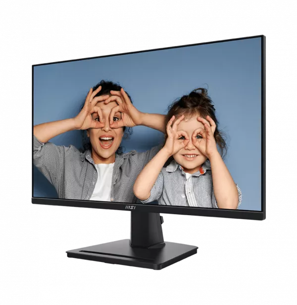 Écran 25" Full HD MSI Pro MP251 (9S6-3PC2CM-002)