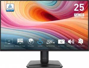 Écran 25" Full HD MSI Pro MP251 E2 (9S6-3PD2CM-001)