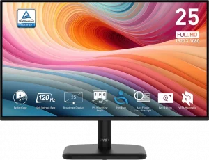 Écran 25" Full HD MSI Pro MP251L E2 (9S6-3PD2CM-033)