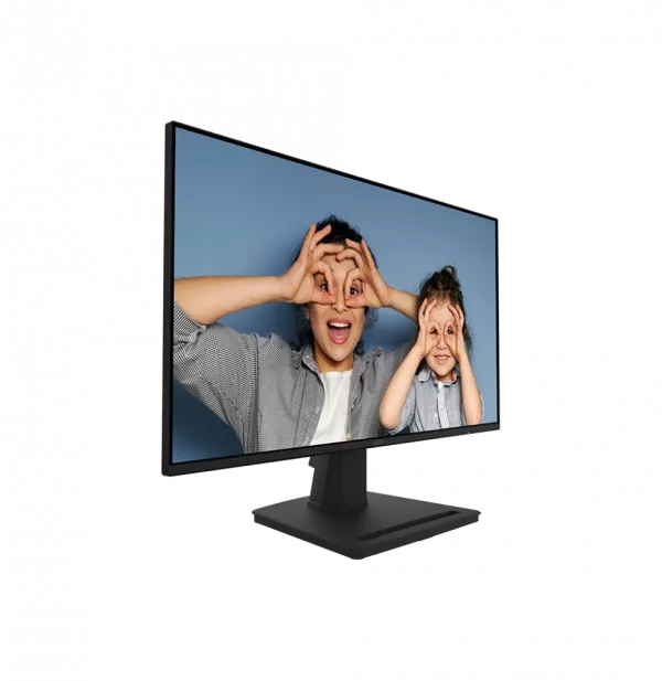 Écran 25" Full HD MSI PRO MP252 (9S6-3PC4CT-017)