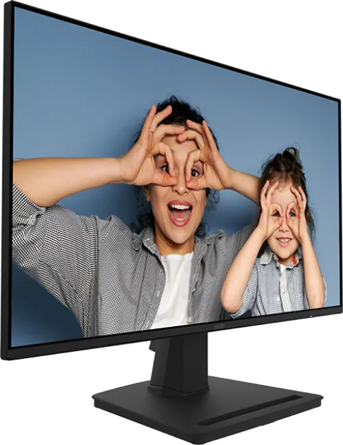 Écran 25" Full HD MSI PRO MP252 (9S6-3PC4CT-017)