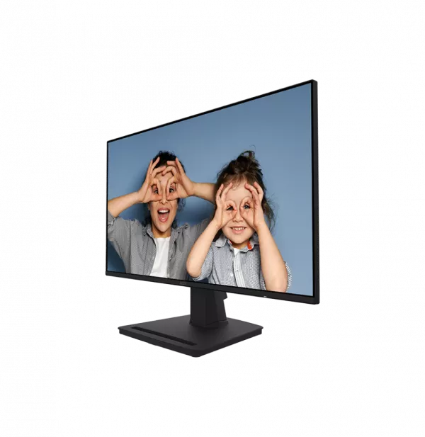 Écran 25" Full HD MSI PRO MP252 (9S6-3PC4CT-017)