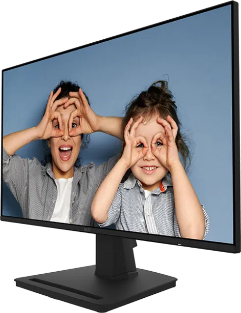 Écran 25" Full HD MSI PRO MP252 (9S6-3PC4CT-017)