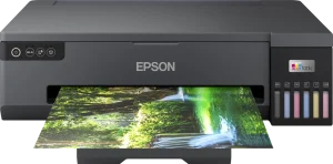 Epson EcoTank L18050 Imprimante Photo A3+ à réservoirs rechargeables (C11CK38403)
