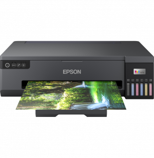 Epson EcoTank L18050 Imprimante Photo A3+ à réservoirs rechargeables (C11CK38403)