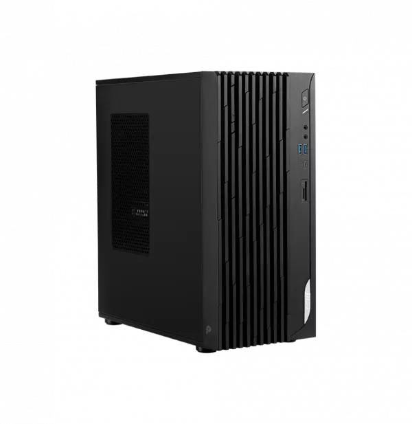 Ordinateur de bureau MSI Pro DP180 14A (9S6-B0A7411-1253)