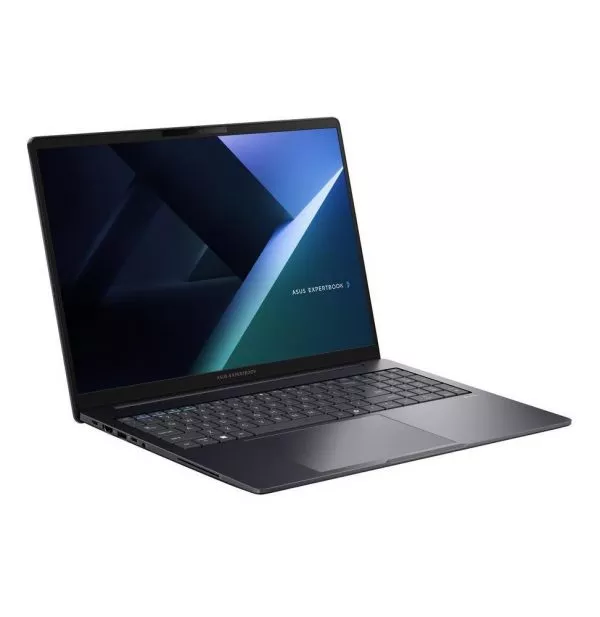 Ordinateur portable Asus ExpertBook B5 (B5605CCA-MB0172)