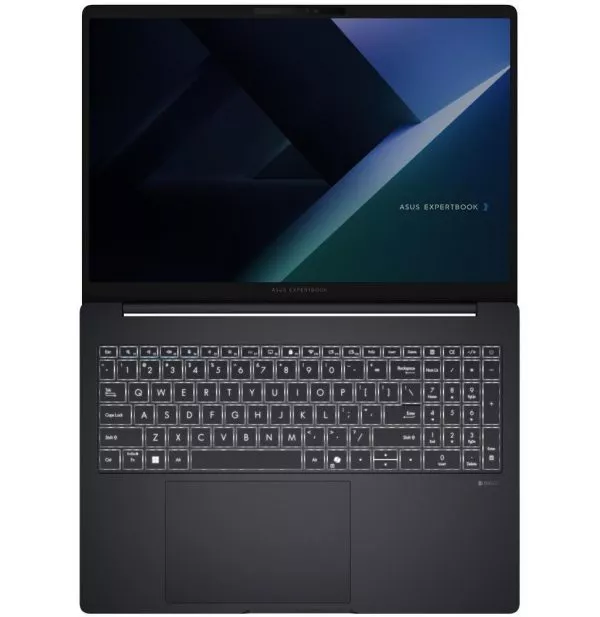 Ordinateur portable Asus ExpertBook B5 (B5605CCA-MB0172)