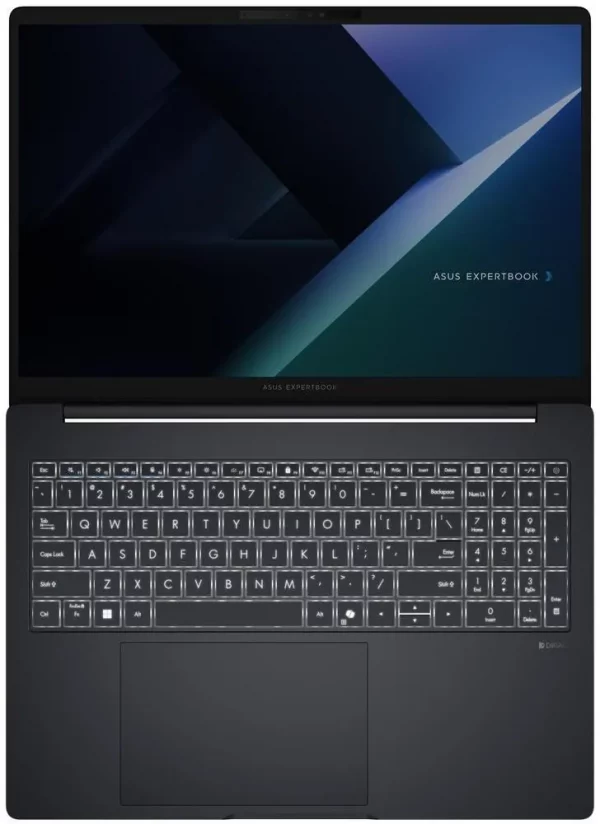 Ordinateur portable Asus ExpertBook B5 (B5605CCA-MB0172)
