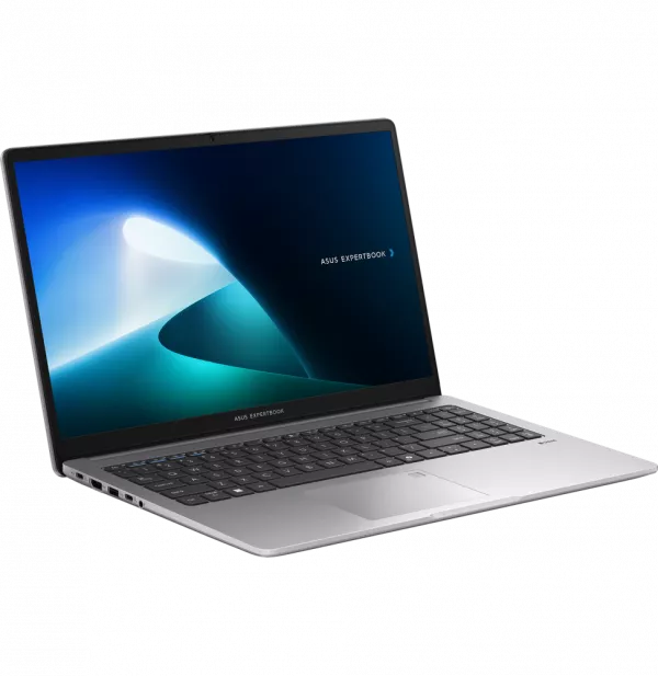 Ordinateur portable Asus ExpertBook P1 (P1503CVA-S71473)