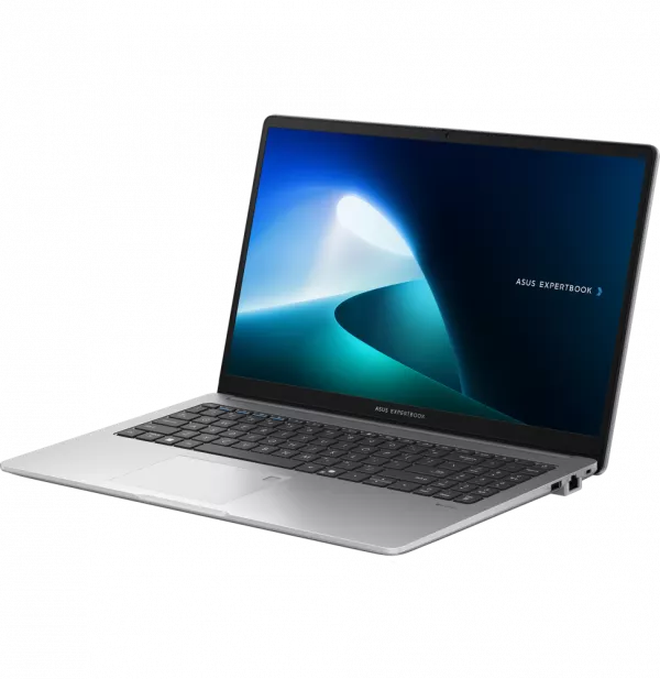 Ordinateur portable Asus ExpertBook P1 (P1503CVA-S71473)