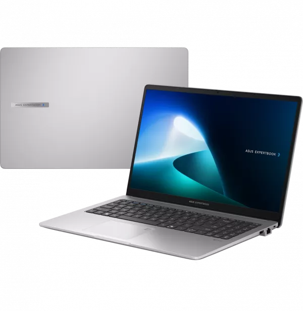 Ordinateur portable Asus ExpertBook P1 (P1503CVA-S71473)