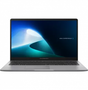 Ordinateur portable Asus ExpertBook P1 (P1503CVA-S71473)
