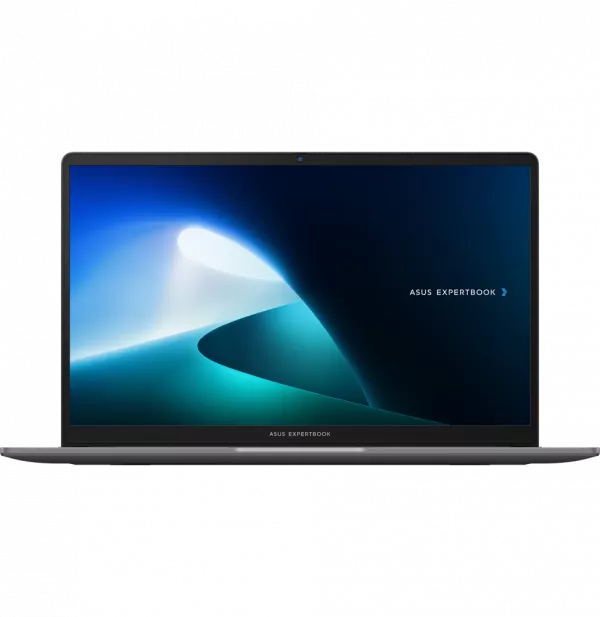 Ordinateur portable Asus ExpertBook P1 (P1503CVA-S71473)