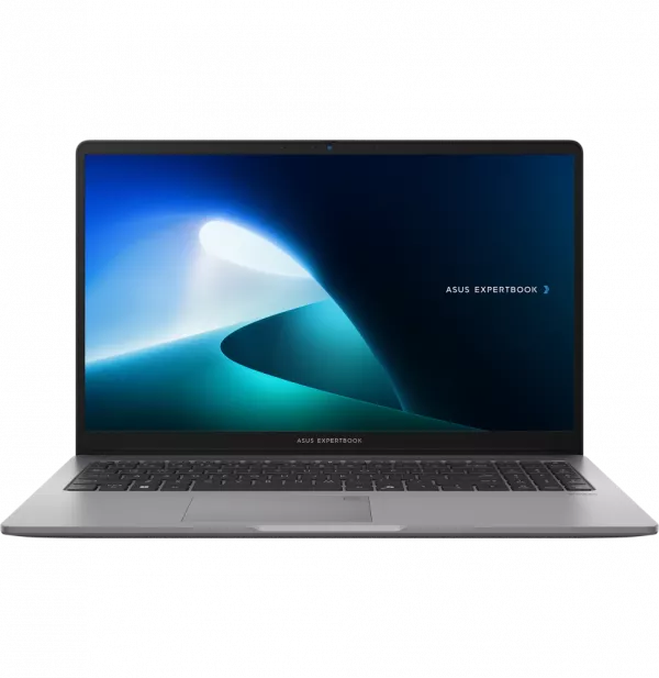Ordinateur portable Asus ExpertBook P1 (P1503CVA-S71473)