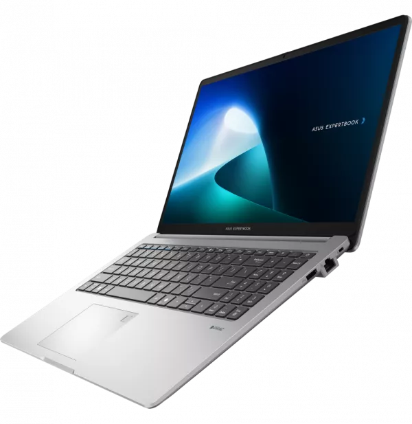 Ordinateur portable Asus ExpertBook P1 (P1503CVA-S71473)