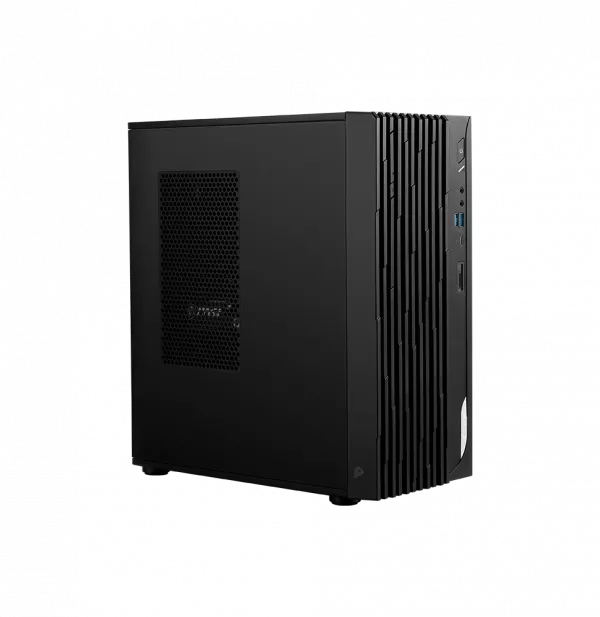 PC de bureau MSI Pro DP180 (9S6-B0A741-817)