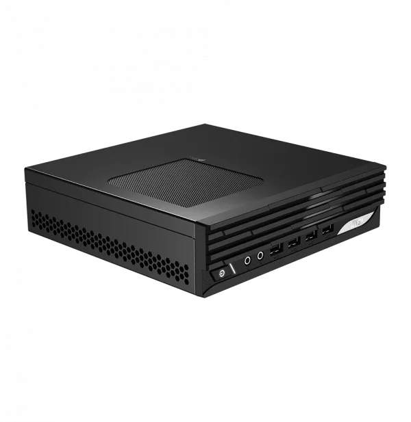 Mini PC de bureau MSI Pro DP21 (9S6-B0A421-862)