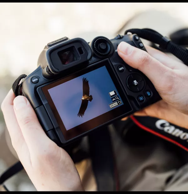 Appareil photo hybride Canon EOS R7 boîtier nu (5137C003AA)