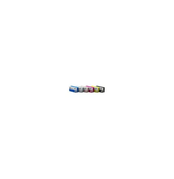 Epson PP-100 (PJIC6) Noir - Cartouche d'encre Epson d'origine (C13S020452)