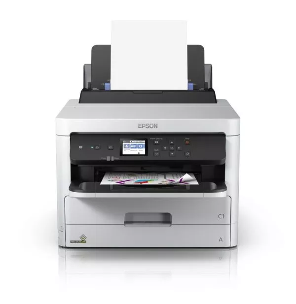 Epson WorkForce Pro WF-C529R / C579R Black XL Ink Supply Unit (C13T01C100)
