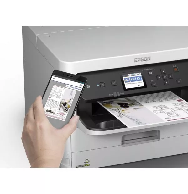 Epson WorkForce Pro WF-C529R / C579R Black XL Ink Supply Unit (C13T01C100)