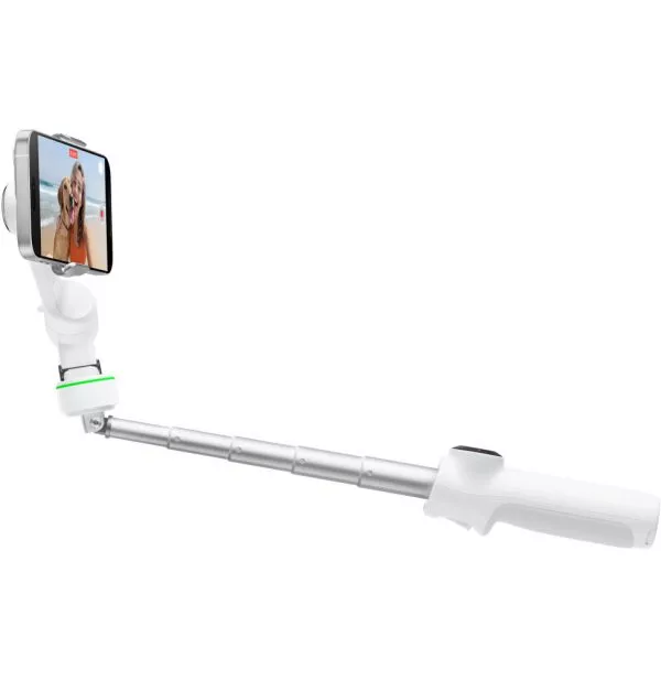 Insta360 Flow 2 Pro Standard Bundle / Summit White CINSABQB (6970357858774)