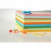 Kodak Papier Couleur Pack 100 feuille 80g (6926798913008)